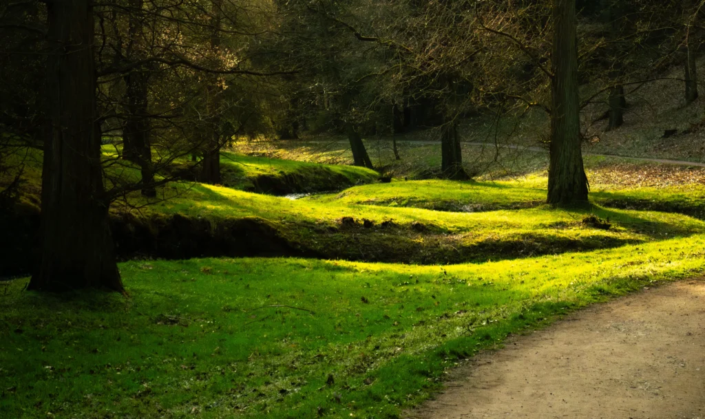 1_x56DOOZVjBuyIeVcdplNtA