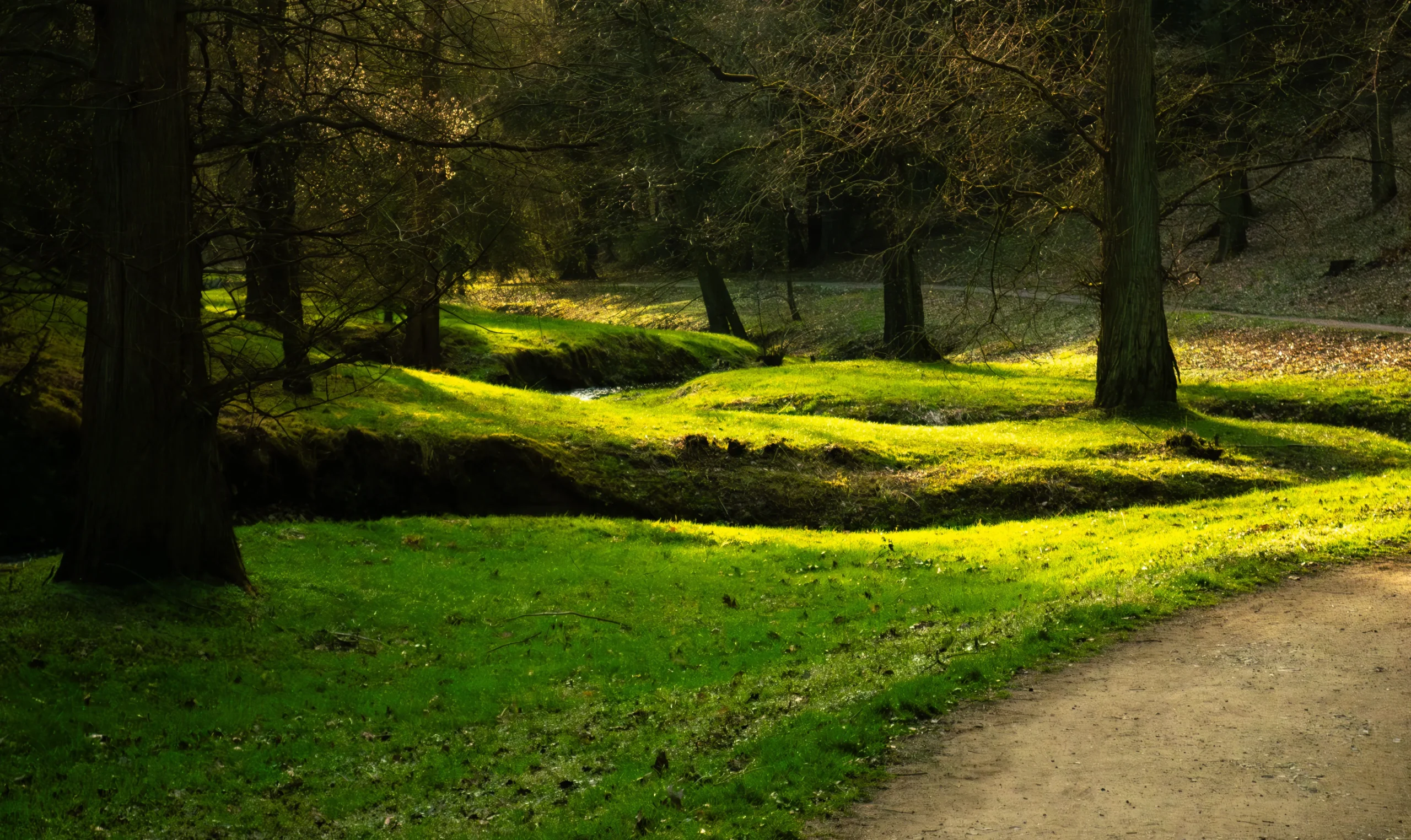 1_x56DOOZVjBuyIeVcdplNtA