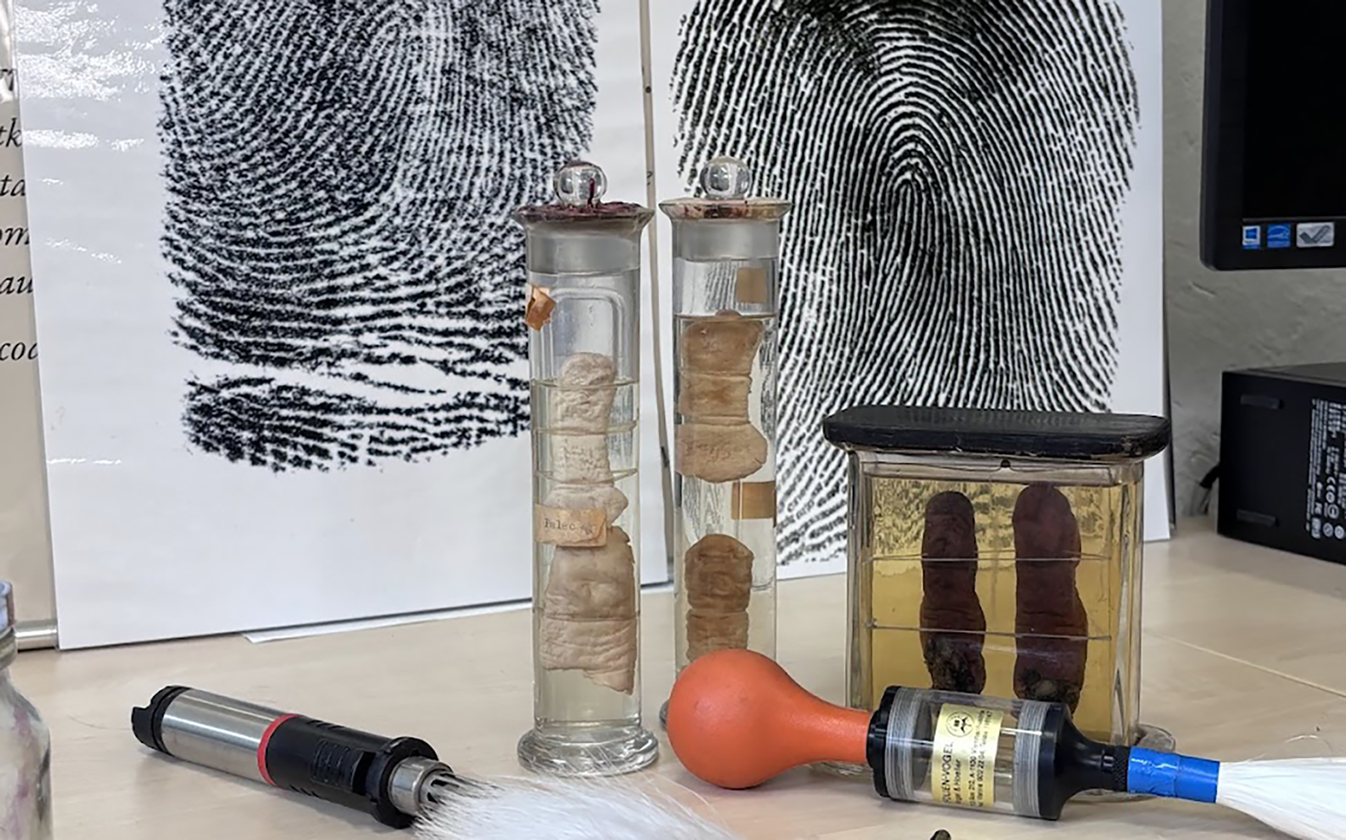 jak-se-stat-uspesnym-daktyloskopem